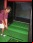 Eball Golf Simulator: juega golf, sin salir de casa Eball Golf Simulator: juega golf, sin salir de casa