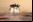 NASA: Mars Phoenix Lander llegó a Marte NASA: Mars Phoenix Lander llegó a Marte