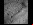 NASA: Mars Phoenix Lander llegó a Marte NASA: Mars Phoenix Lander llegó a Marte