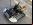 Crabfu Steamworks: robótica a vapor Crabfu Steamworks: robótica a vapor