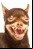 Un ordenador que entiende a los perros Un ordenador que entiende a los perros