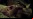 Tráiler Flash: The Ritual Tráiler Flash: The Ritual