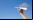 Fold 'N Fly: Base de datos de avioncitos de papel Fold 'N Fly: Base de datos de avioncitos de papel