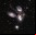 Las primeras imágenes del Telescopio James Webb Las primeras imágenes del Telescopio James Webb