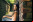 Nikon Z6: Una estrella entre las mirrorless full-frame Nikon Z6: Una estrella entre las mirrorless full-frame