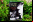 Déficit de Naturaleza Déficit de Naturaleza