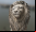 Meshroom: Crea un modelo 3D con fotografías