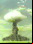 El experimento nuclear de Orenburg (1954) El experimento nuclear de Orenburg (1954)