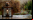 Programas para crear cinemagraph en tu móvil Programas para crear cinemagraph en tu móvil