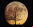 Los árboles lunares