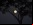Los árboles lunares Los árboles lunares