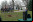 Los árboles lunares Los árboles lunares