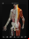 Aplicaciones de anatomía humana en 3D para Android Aplicaciones de anatomía humana en 3D para Android