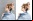 Cómo quitar el fondo de una imagen Cómo quitar el fondo de una imagen