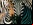 Alan Turing, los animales y sus manchas Alan Turing, los animales y sus manchas