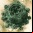 Los fractales del conjunto de Mandelbrot Los fractales del conjunto de Mandelbrot