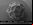 Cosas bajo el microscopio: Objetos de todos los días, irreconocibles bajo el microscopio (Galería)