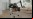 SpotMini: El nuevo perro-robot de Boston Dynamics SpotMini: El nuevo perro-robot de Boston Dynamics