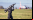 SkyWall 100: Bazuca anti-drones con mira inteligente SkyWall 100: Bazuca anti-drones con mira inteligente