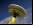 El platillo volador de la NASA avanza con sus pruebas El platillo volador de la NASA avanza con sus pruebas
