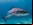 “Google vs. los tiburones”