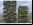 Bosco Verticale: Un bosque vertical en Milan